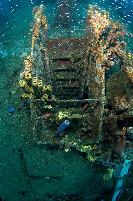 FMazeas site tupasurf_073.jpg
